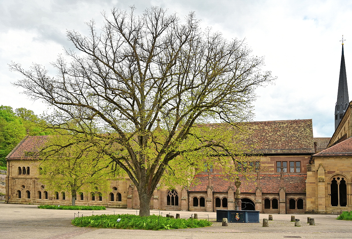 Maulbronn_2023_ZSD_4789_nff.JPG