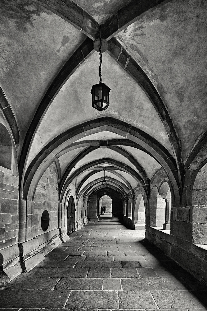 Maulbronn_2023_ZSD_4800_sw_nff.JPG