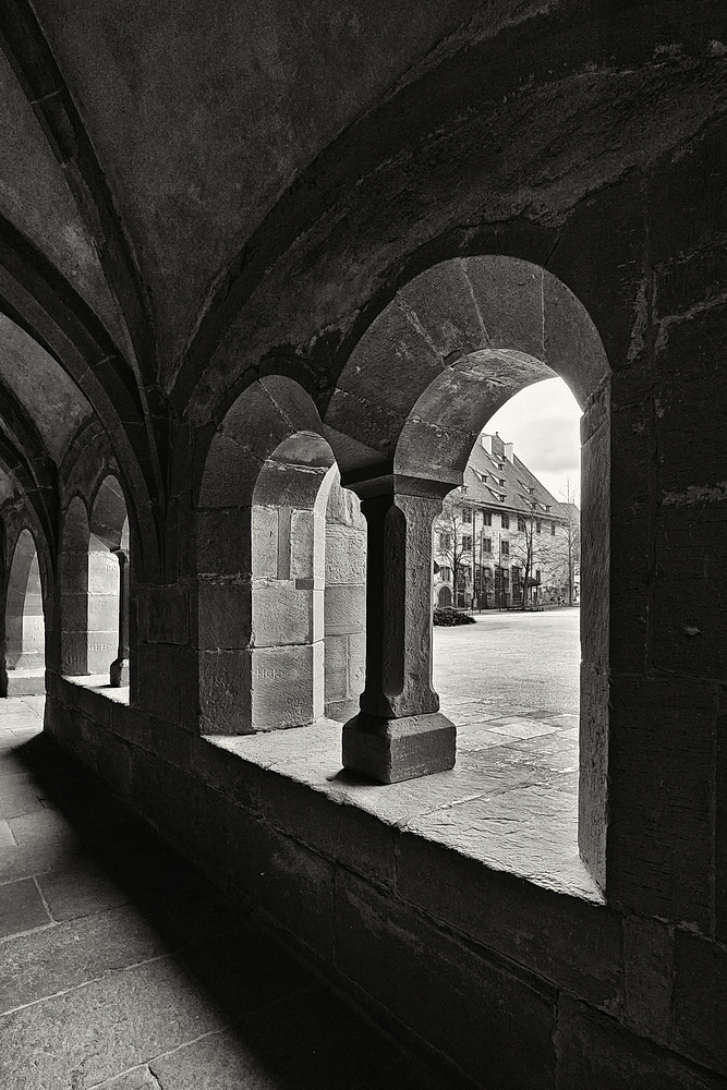 Maulbronn_2023_ZSD_4803_sw_nff.JPG