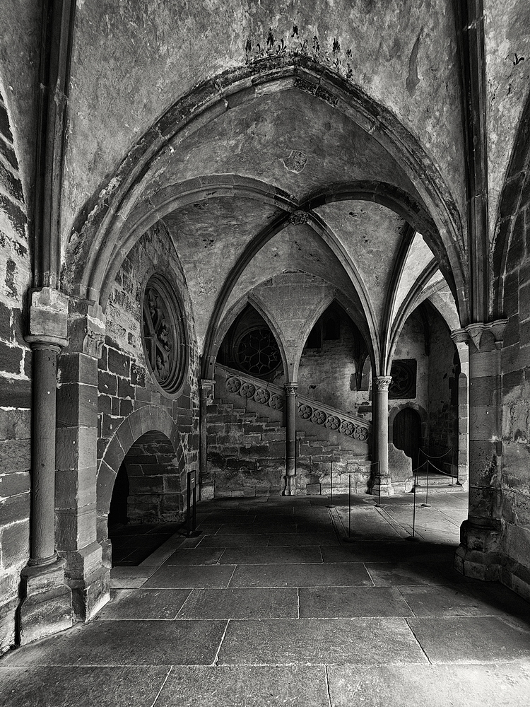 Maulbronn_2023_ZSD_4851_sw_nff.JPG