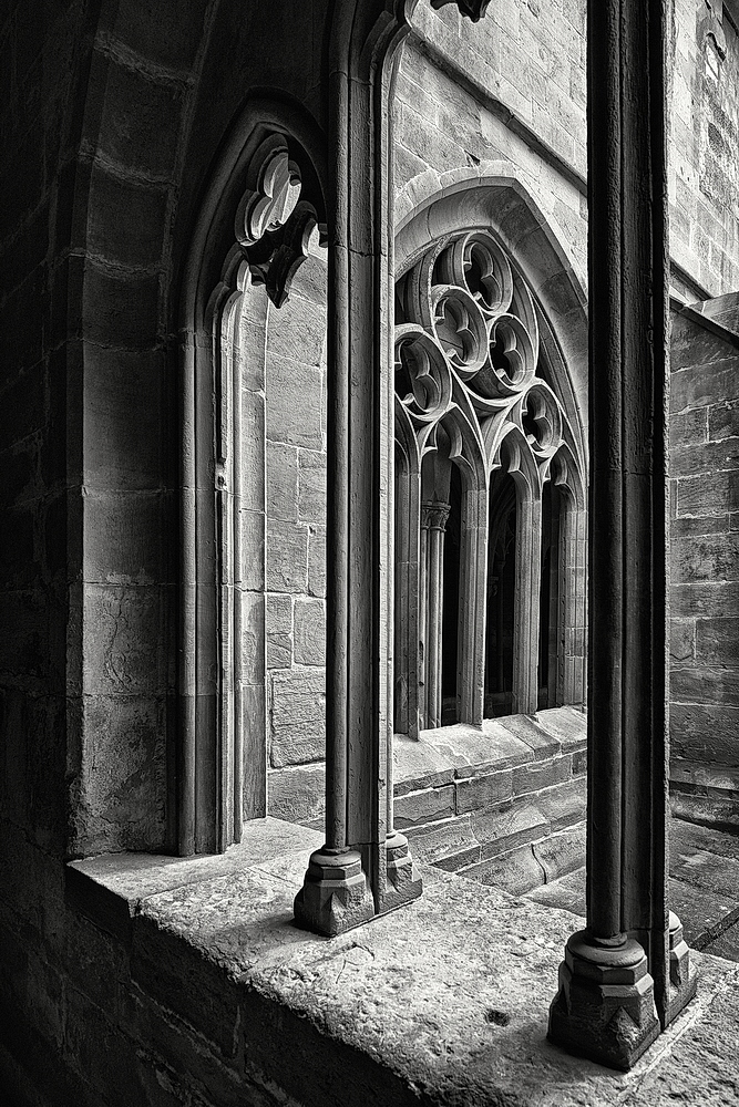Maulbronn_2023_ZSD_4853_sw_nff.JPG