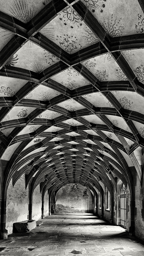 Maulbronn_2023_ZSD_4859_sw1_nff.JPG