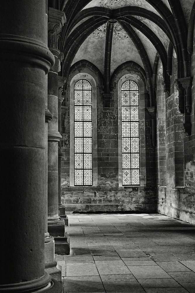Maulbronn_2023_ZSD_4933_sw_nff.JPG