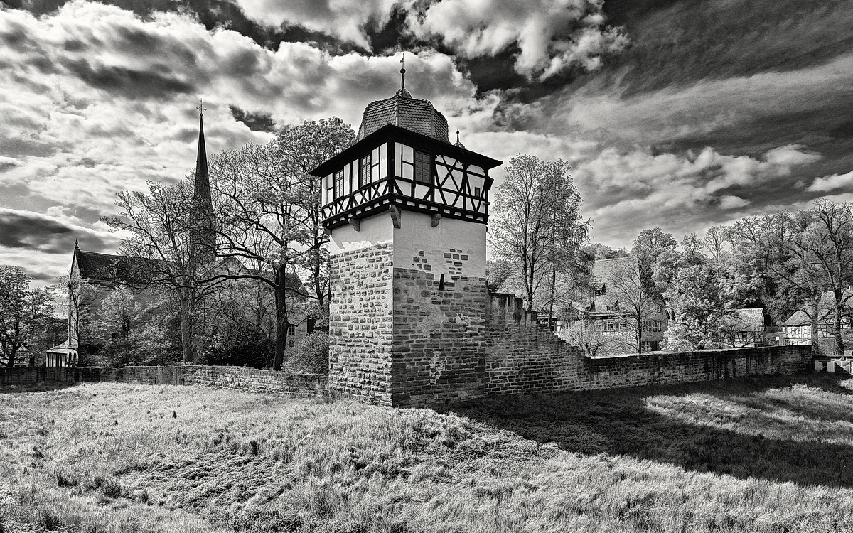 Maulbronn_2023_ZSD_4951_sw_nff.JPG
