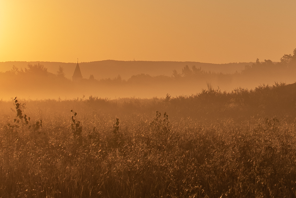 Mehlinger_Heide_008.jpg