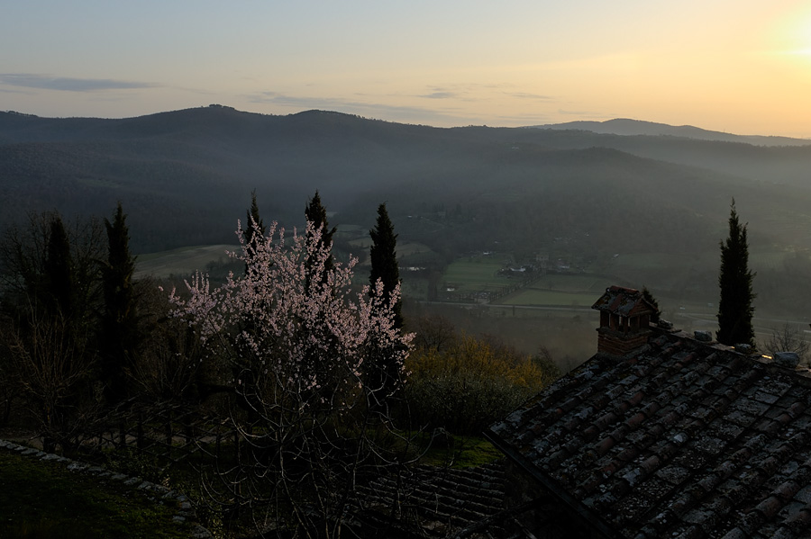 mein morgentlicher Wettercheck, Blick aus dem Fenster