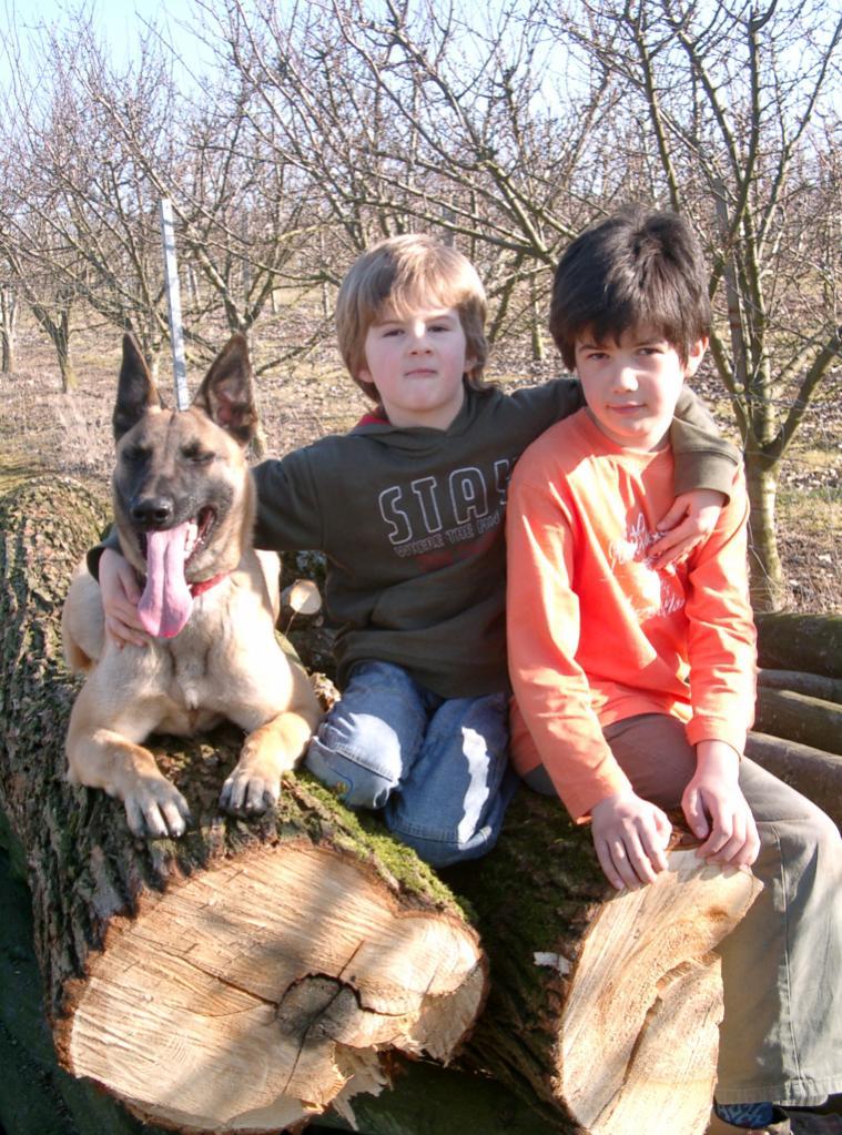 Meine 2 Jungs und meine Ginger vom Drachenherz