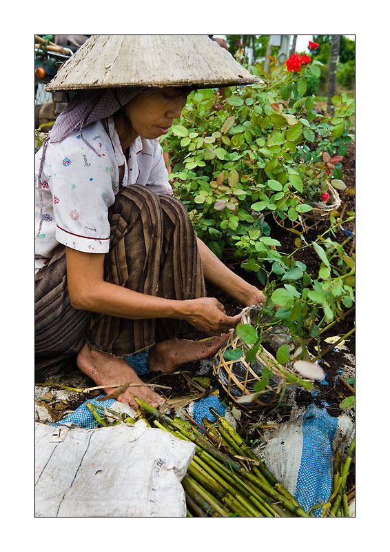 Mekong Blumen fuer Saigon 1
