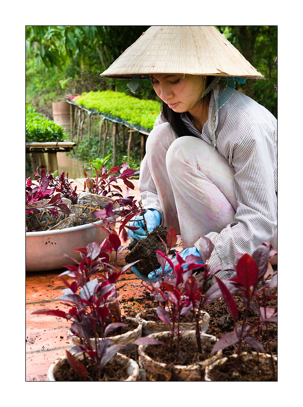 Mekong Blumen fuer Saigon 4
