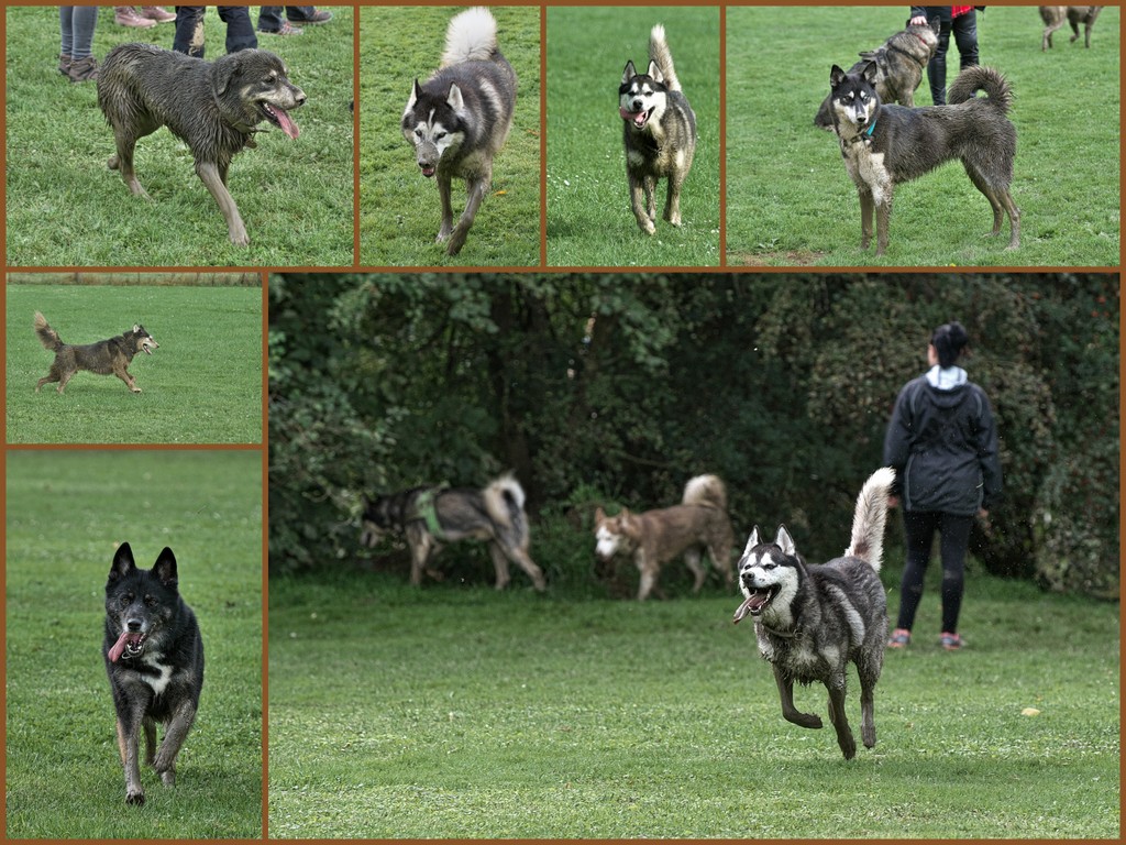 Melle081023.jpg