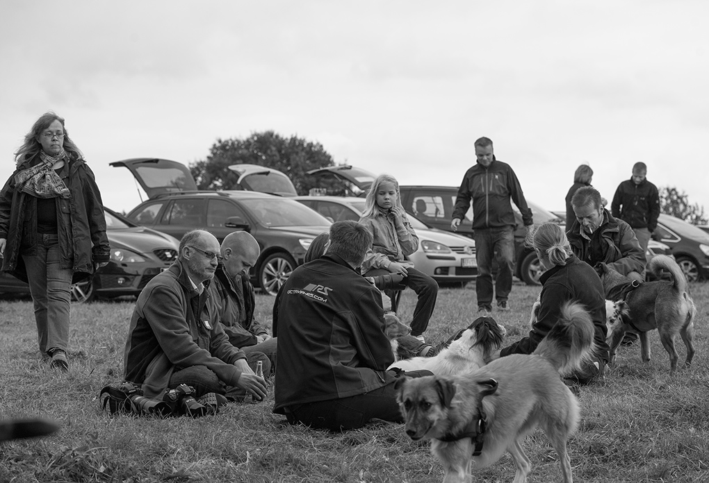 menschen, hunde, kameras