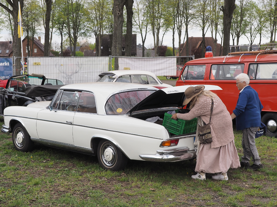 Mercedes Benz 220 SE Fahrerin.jpg
