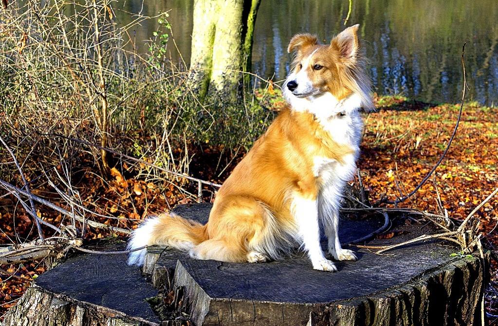 Merle Herbst01
