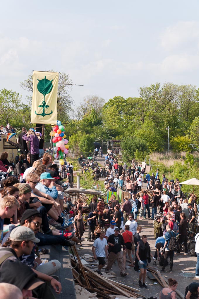 Merlin DSC3845