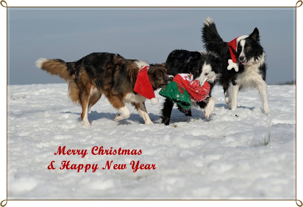 merrychristmas