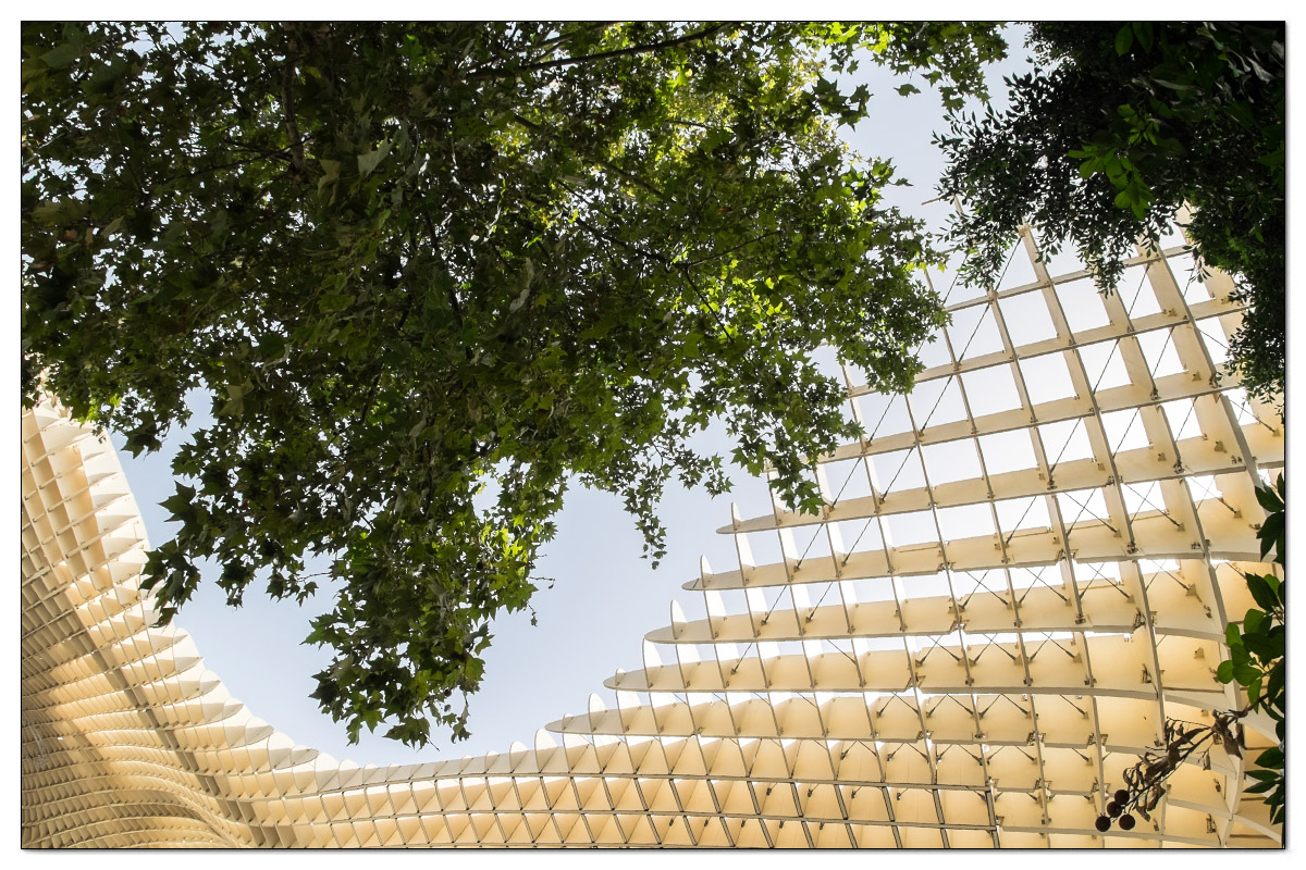Metropol Parasol