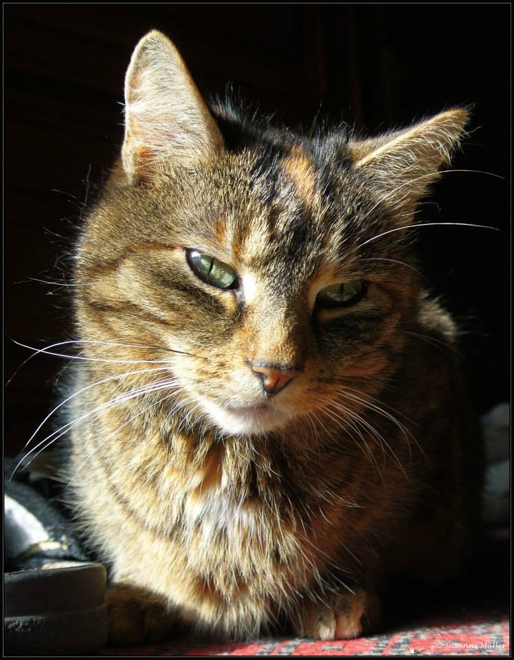 Micki von Maus