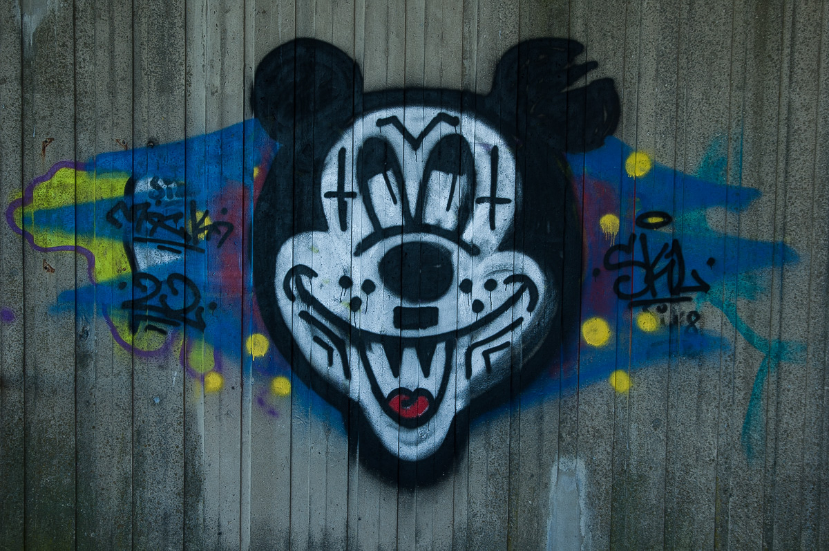 Micky (1 von 1).JPG