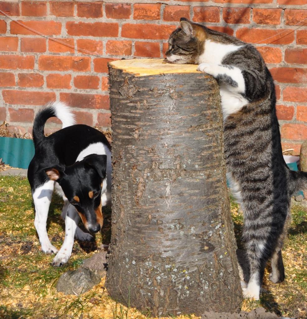 Mila und Paula