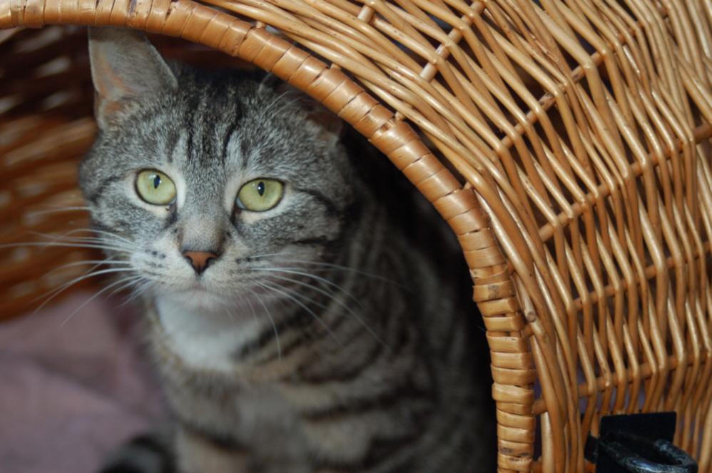 Mimi - 15.05.09