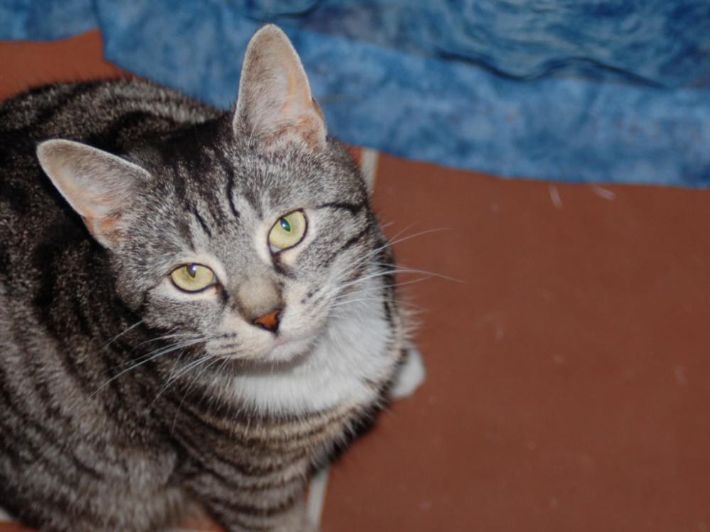 Mimi - 20.05.09