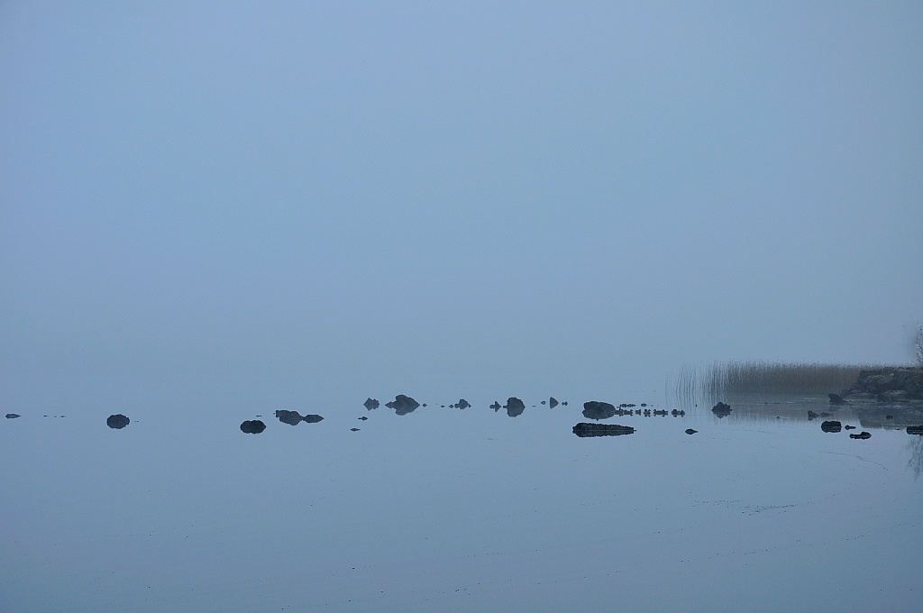 minimalfog