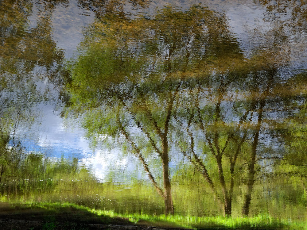 mirror