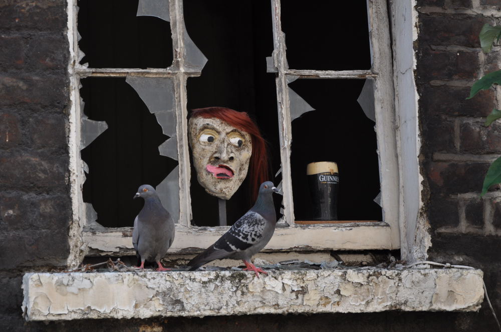 mit Nikon D5000