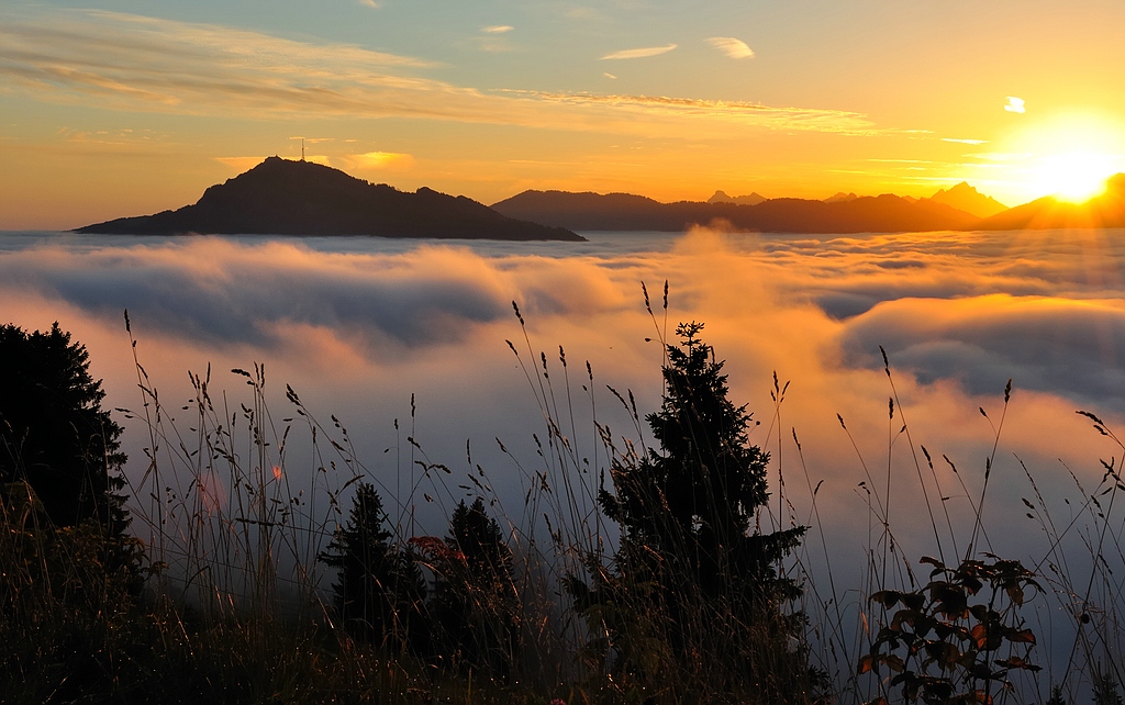 Mittag2 web
