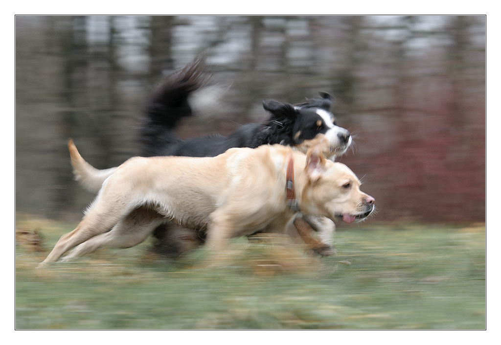 Mitzieher Lucy und Sina 1