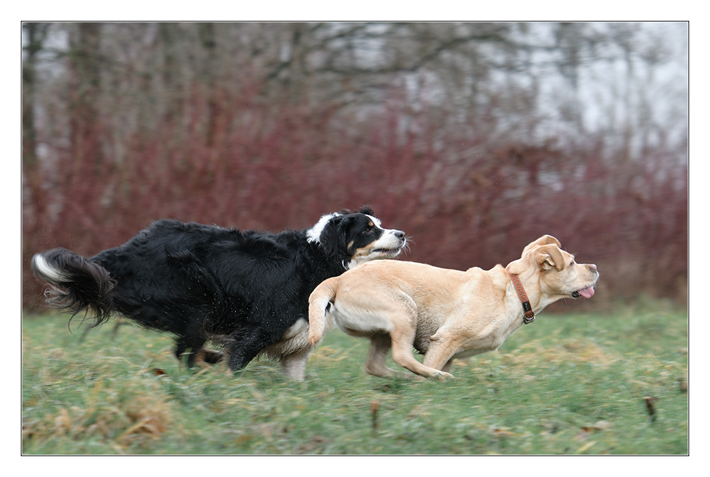 Mitzieher Lucy und Sina 3