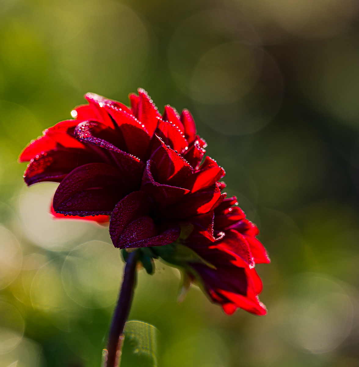 Mix-5008.jpg