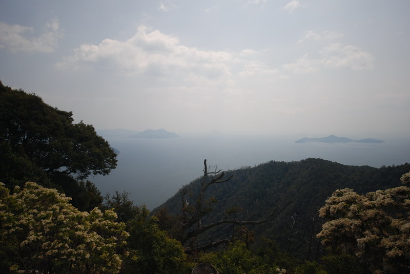 Miyajima - Setonaikai