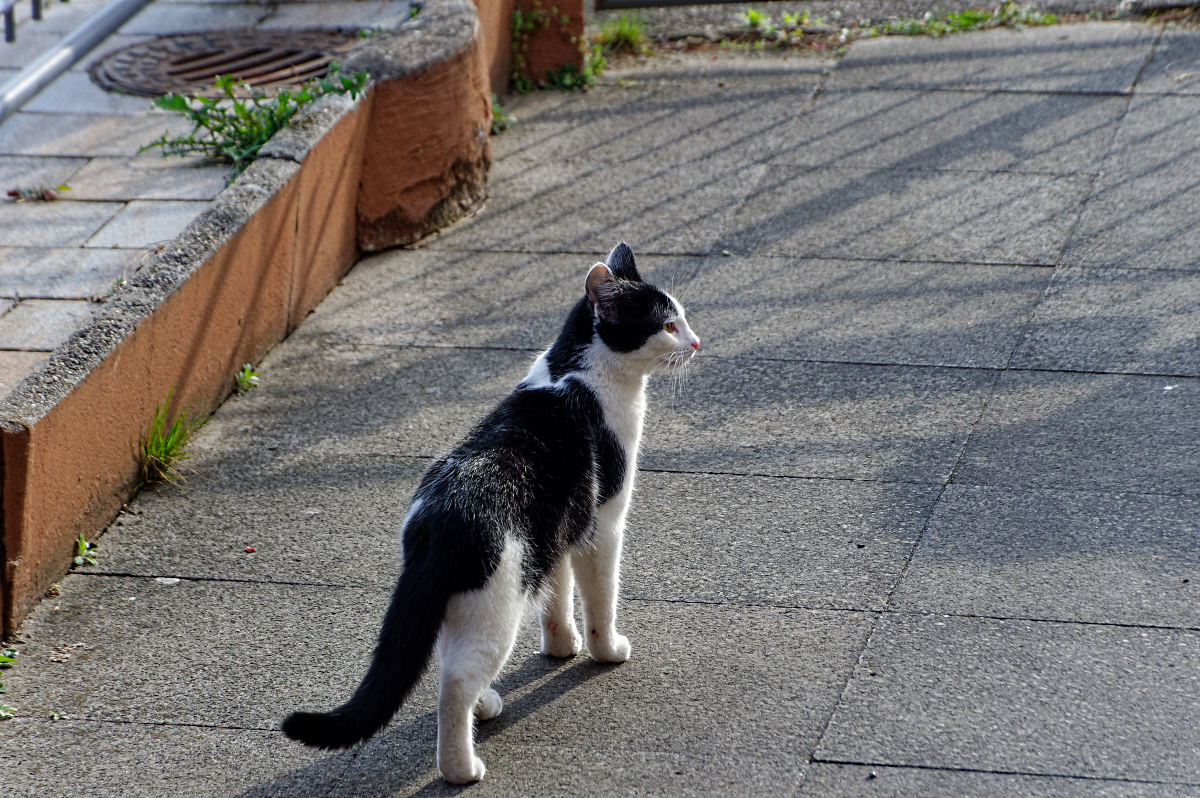 MMM_2826_DxO.jpg