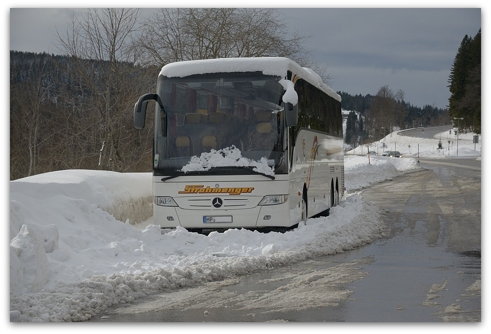 MNE 1951, 20140210
D800 24-120/4,0