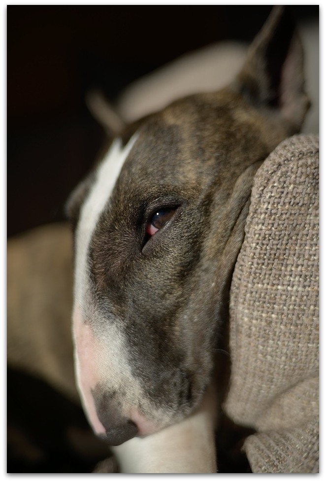 MNE 2095, 20140220
D800 Ai-S 35mm f1,4 bei 2,0