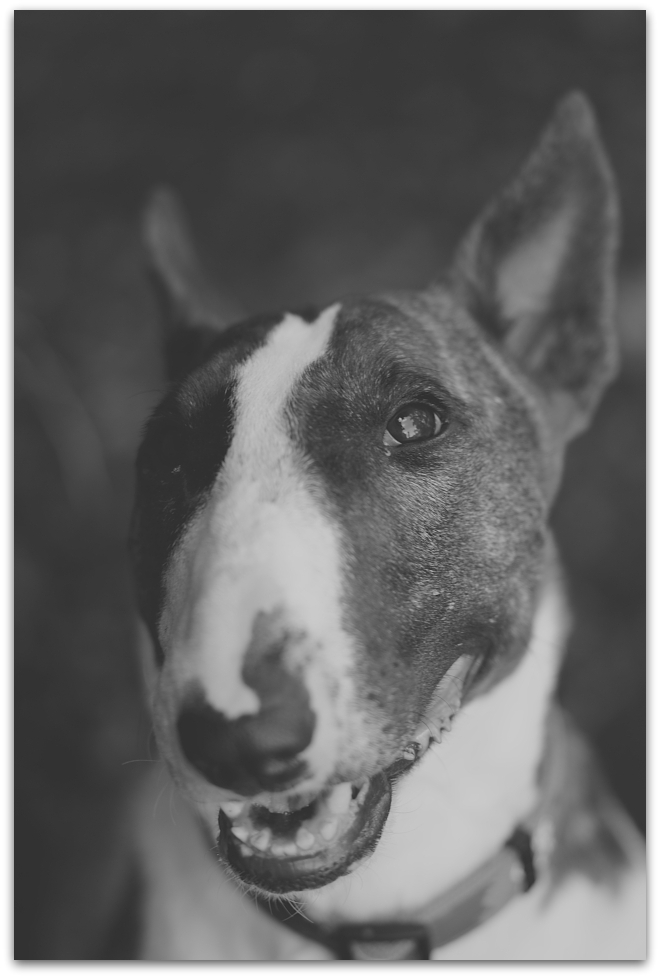 MNE 4088, 20140810
D700 Ai-S 135mm/2,8