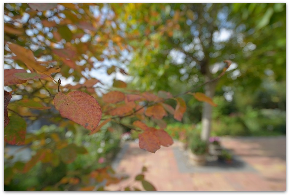 MNE 7232, 20141001
D800 AF-S 18-35mm 3,5-4,5 G ED