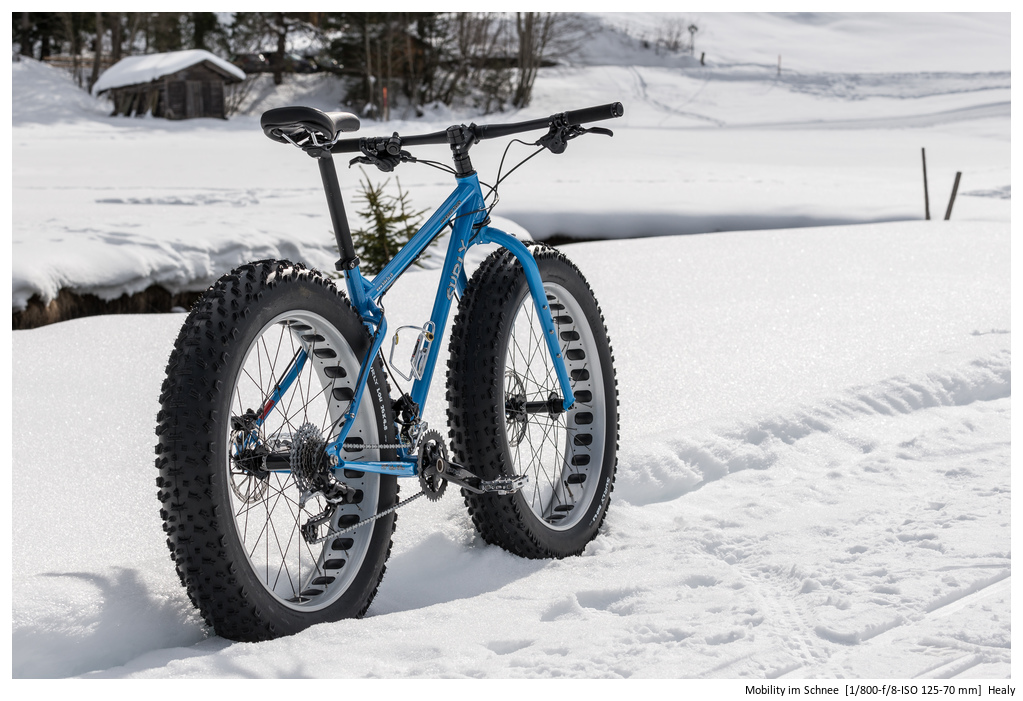 Mobility im Schnee