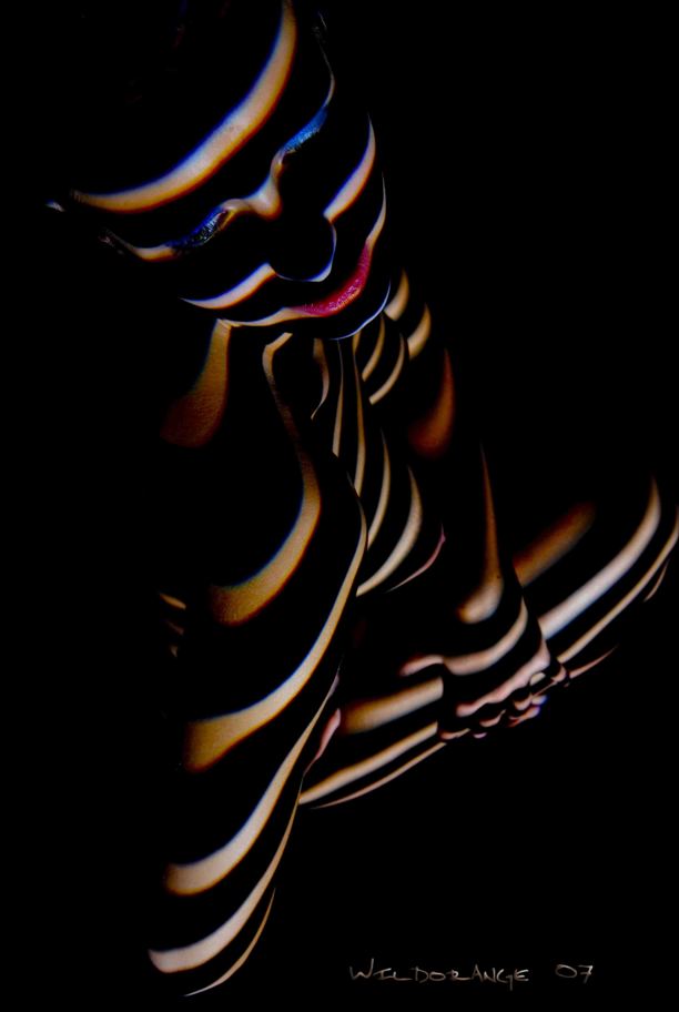 Model Voluta