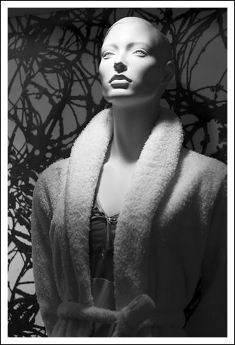 Model