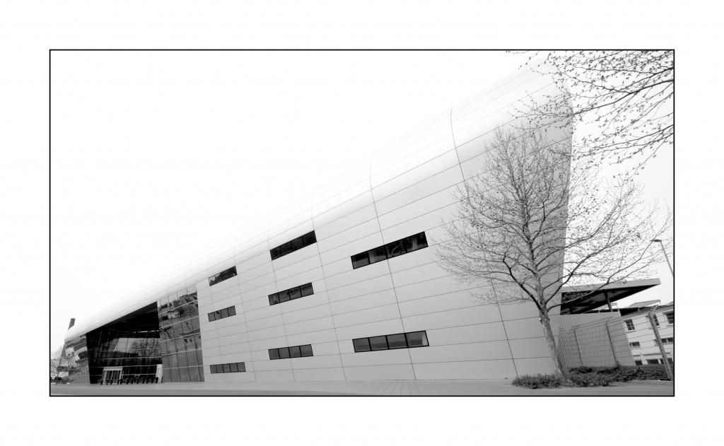 Modern 11  D2X0096 ji