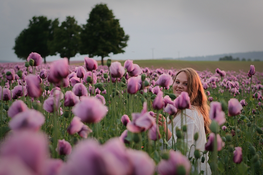 Mohn II