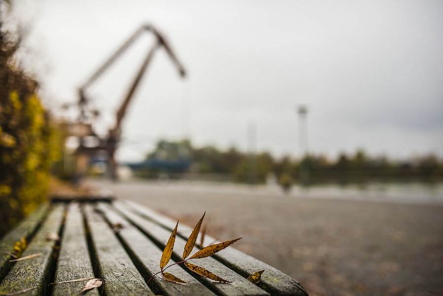 Mohrkran im Hafen