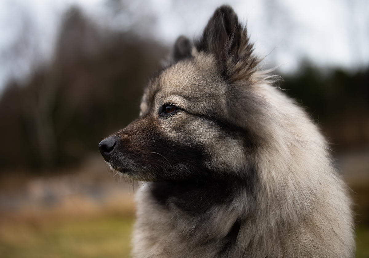 Molly-35mm-test-1.jpg