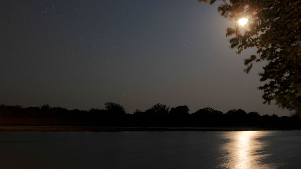 Mond über dem Luangwa
Nkwali Camp
0885