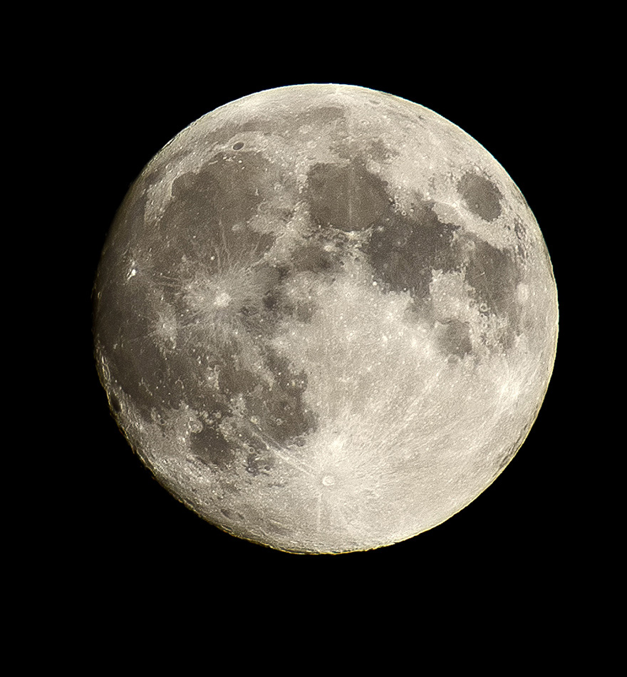 mond 3547