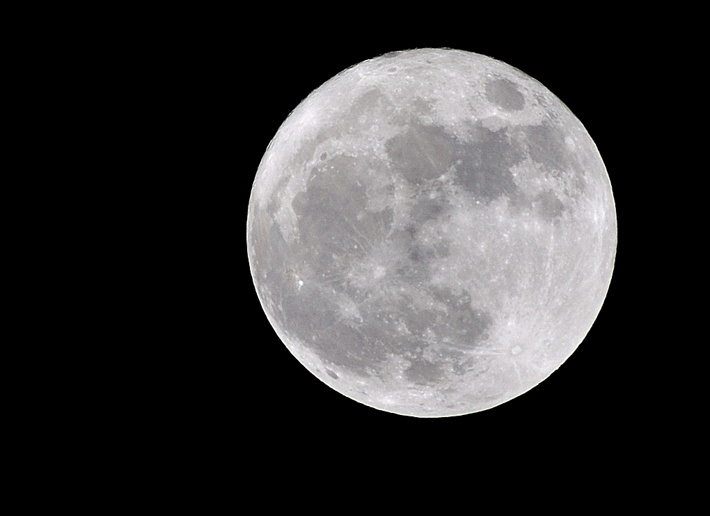 Mond D90 3460