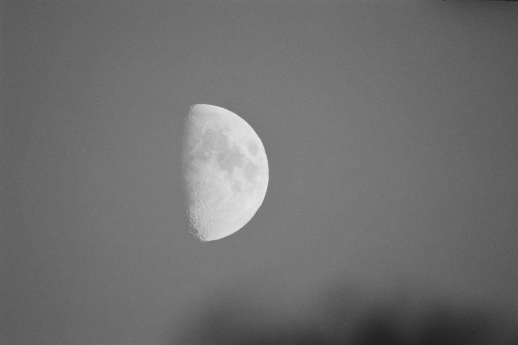 Mond