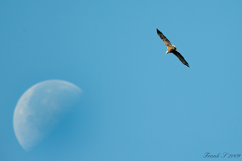 Mond